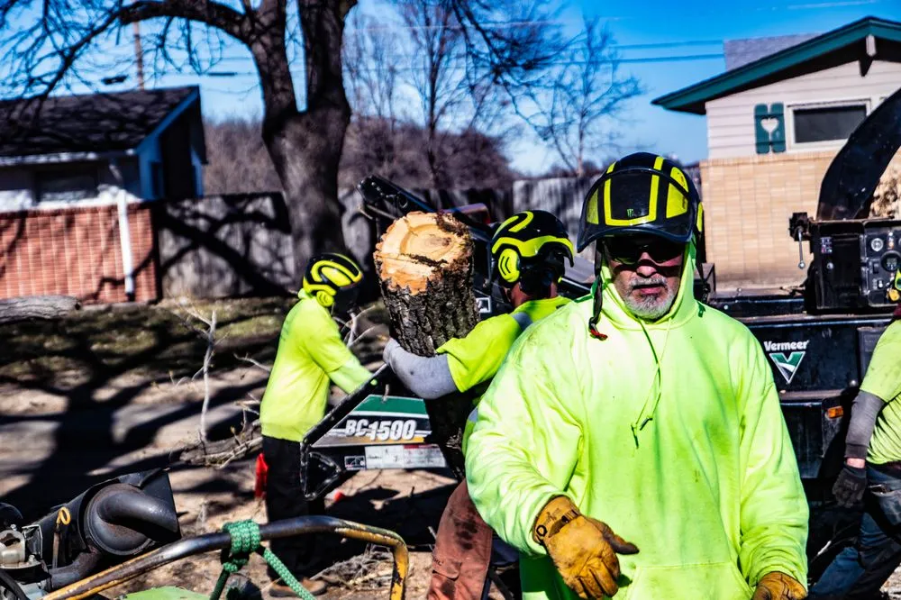 Local landscape design experts serving Wichita, KS - Wichita Tree Service
