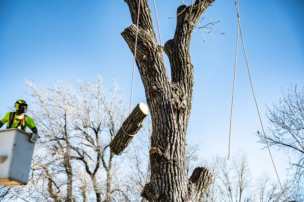 Trusted lawn mowing service experts serving Wichita, KS - Wichita Tree Service