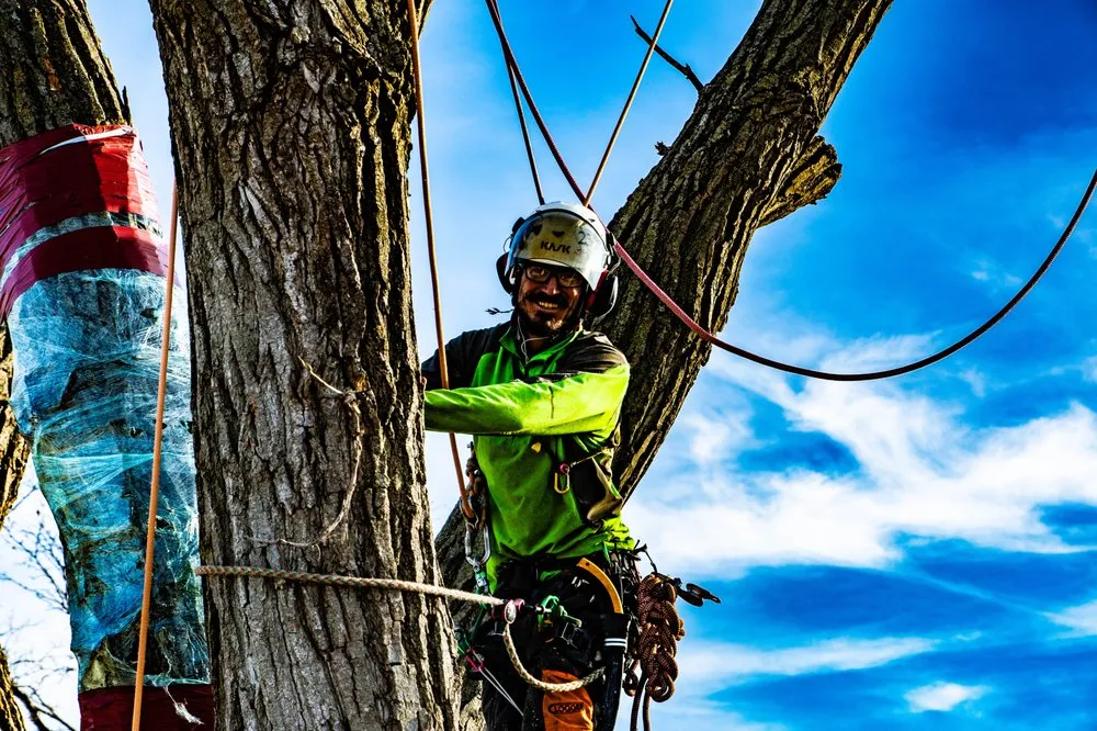 Reliable landscaping services in Wichita, KS - Wichita Tree Service