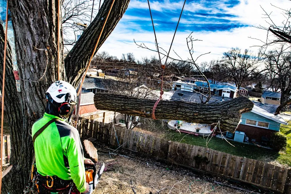 Reliable landscape design in Wichita, KS - Wichita Tree Service