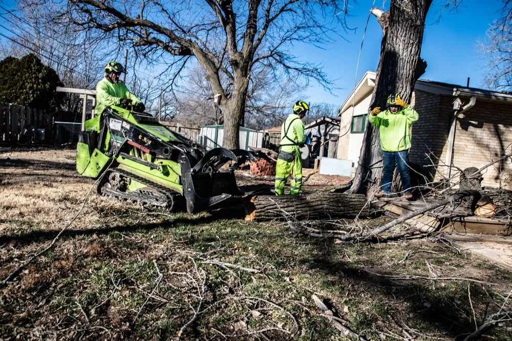 Professional landscape installation in Wichita, KS by Wichita Tree Service