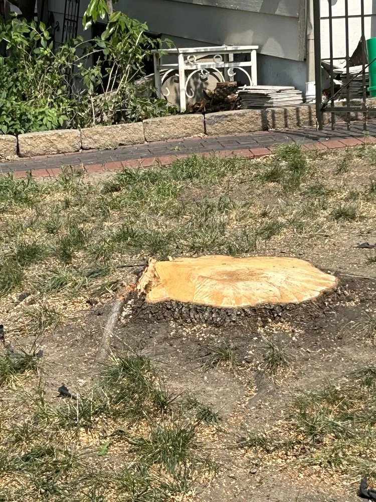 Top-rated lawn care service in Wichita, KS - Wichita Tree Service