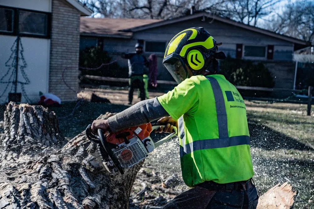 Local outdoor landscaping experts serving Wichita, KS - Wichita Tree Service
