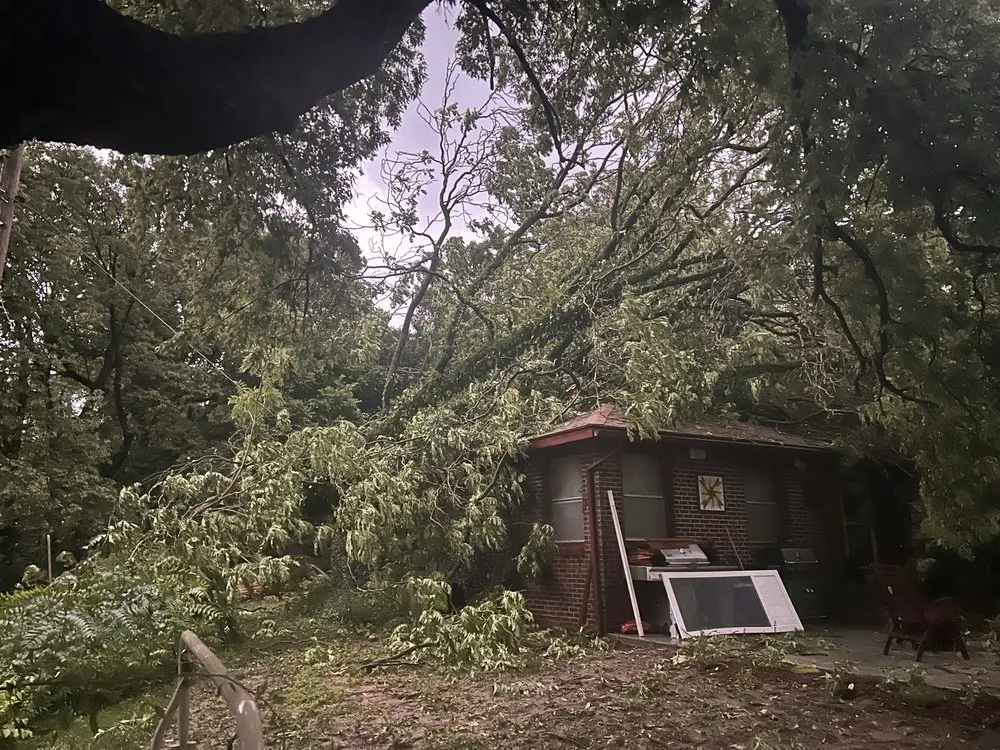 Custom lawn mowing service in Wichita, KS by Wichita Tree Service