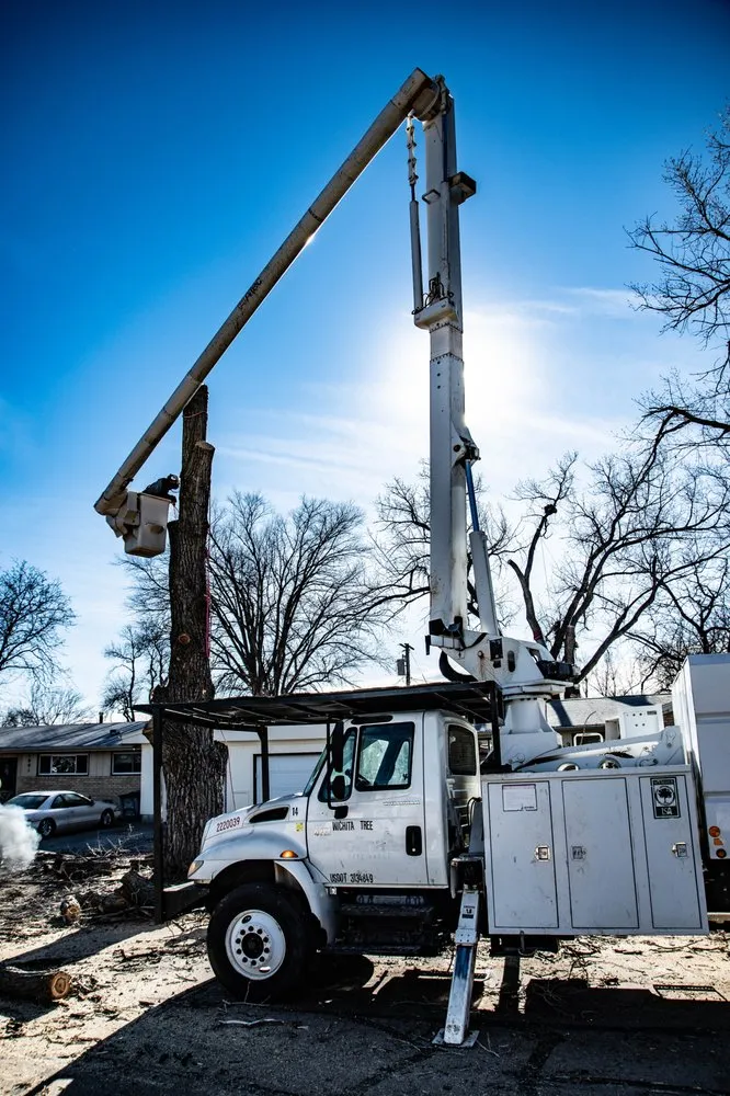 Custom yard maintenance in Wichita, KS - Wichita Tree Service