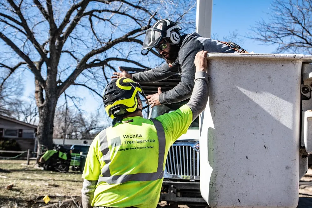 Trusted residential landscaping in Wichita, KS - Wichita Tree Service