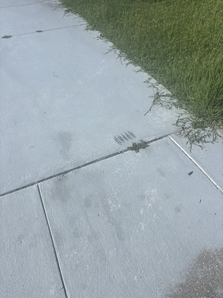 Trusted yard cleanup service for homes in Sarasota, FL by Wicho Landscaping