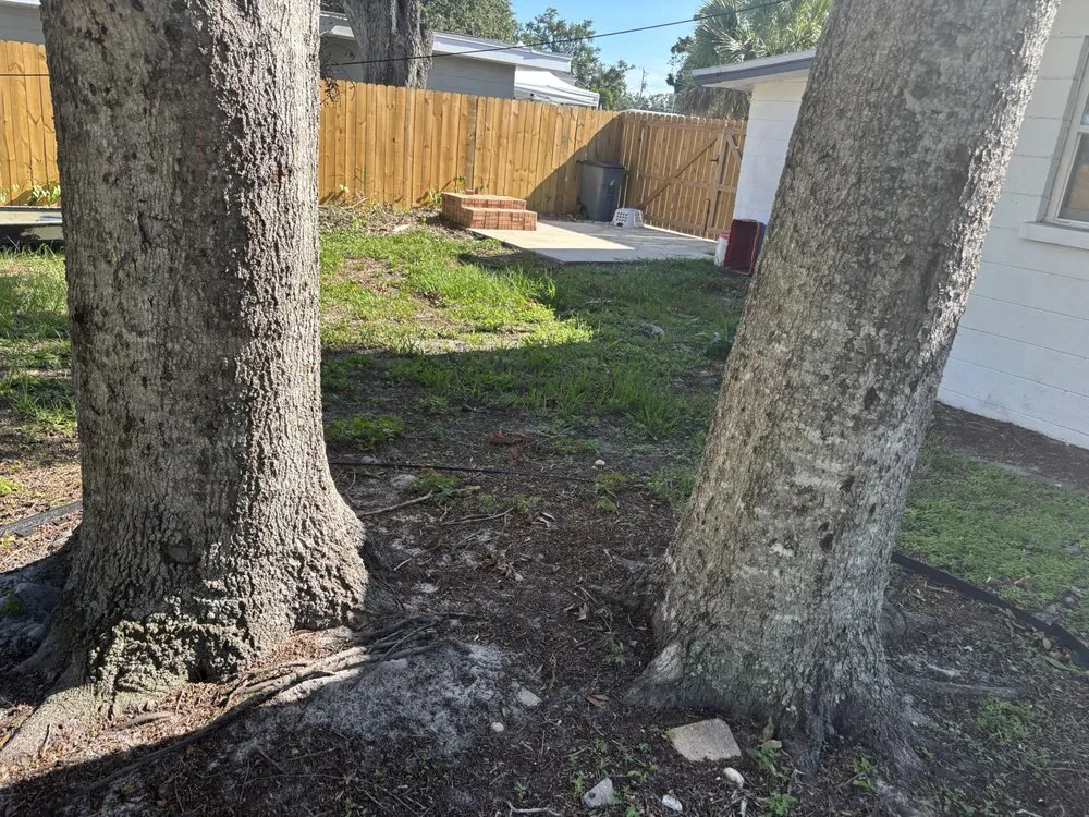 Professional lawn mowing service in Sarasota, FL - Wicho Landscaping