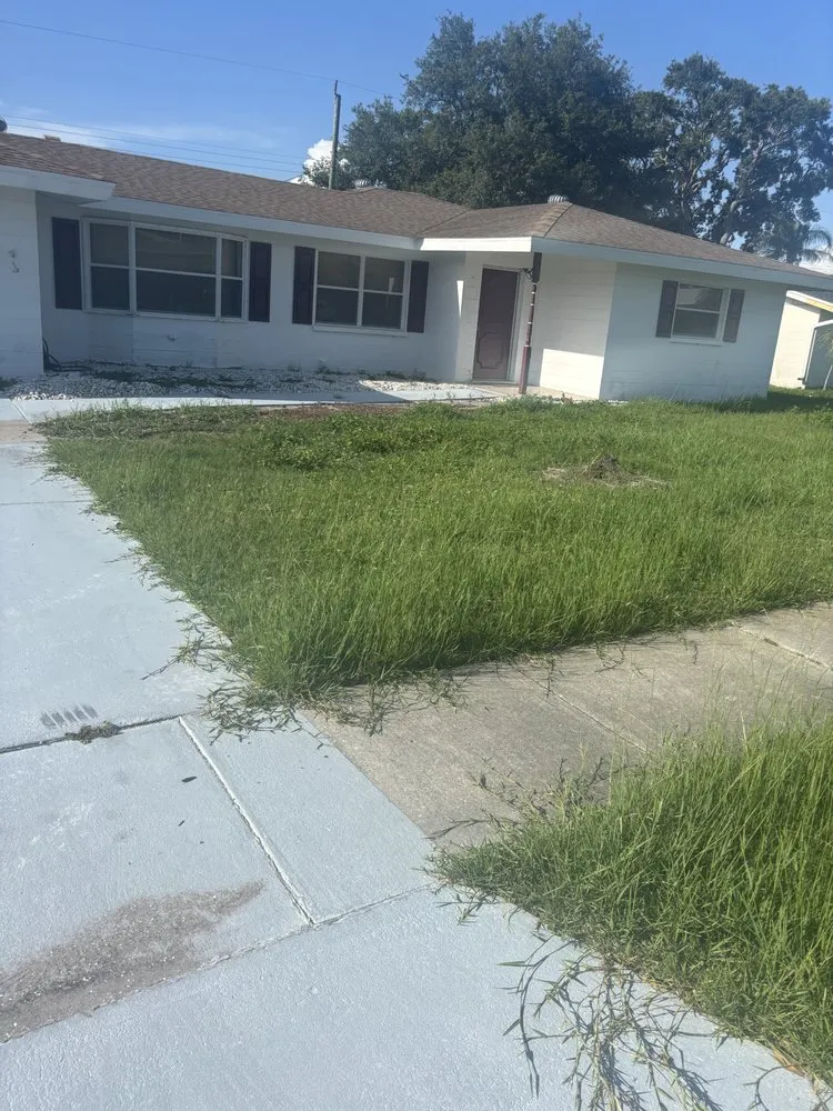 Professional yard maintenance for outdoor upgrades across Sarasota, FL - Wicho Landscaping