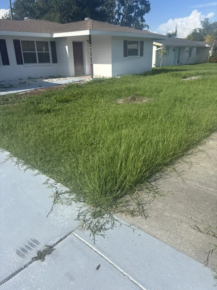 Custom residential landscaping in Sarasota, FL - Wicho Landscaping