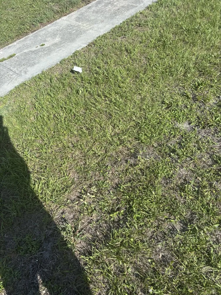 Custom lawn care service in Sarasota, FL by Wicho Landscaping