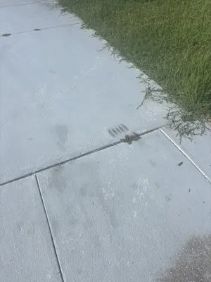 Wicho Landscaping Logo