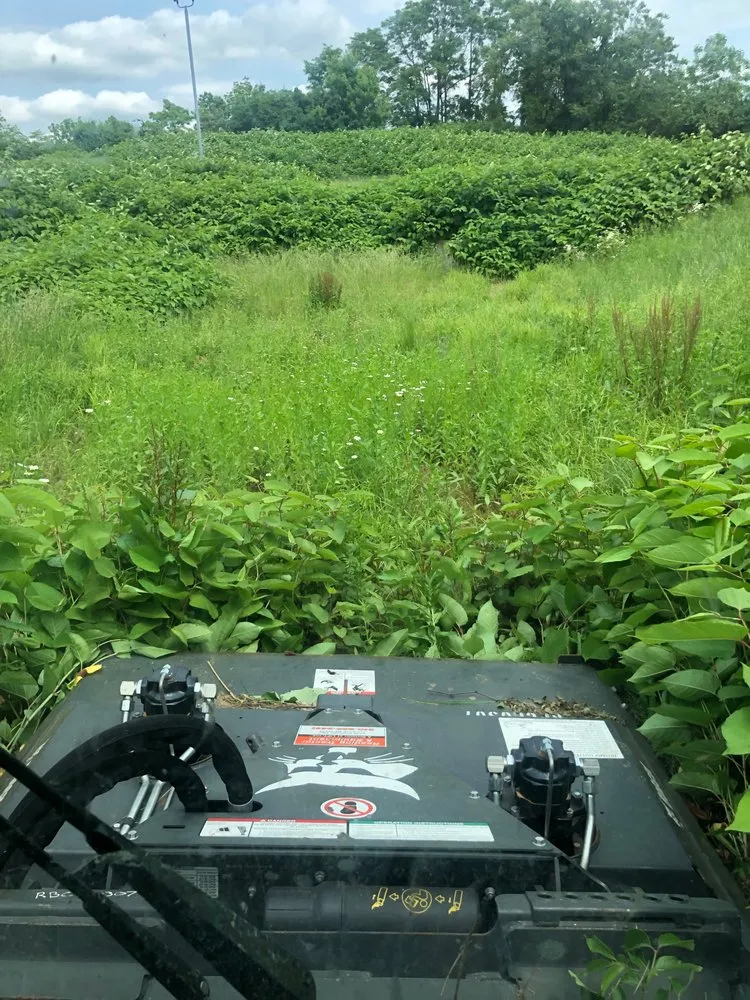 Custom landscape design experts serving Cleona, PA - Wick Lawn Care