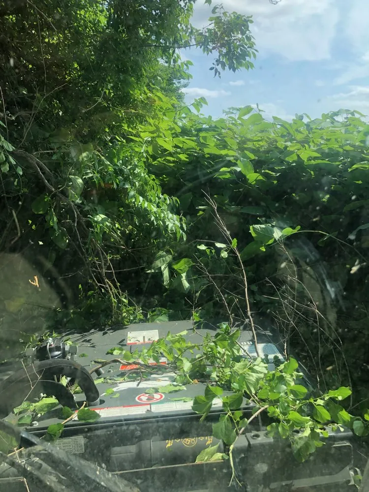 Top-rated outdoor landscaping in Cleona, PA - Wick Lawn Care