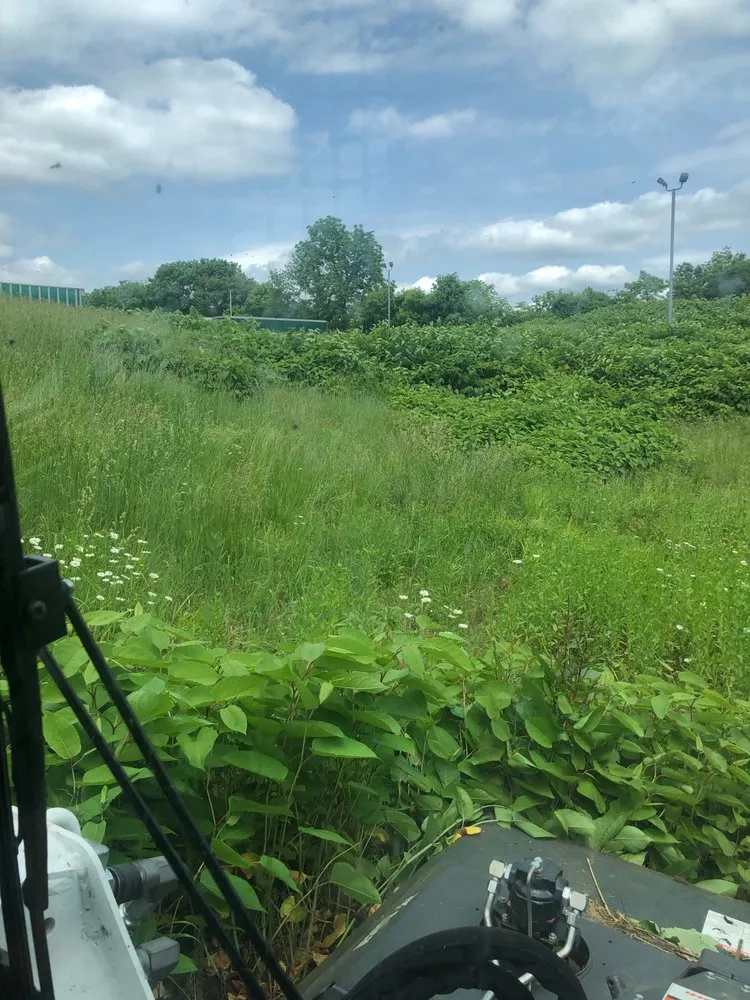 Custom landscaping services with custom design across Cleona, PA - Wick Lawn Care