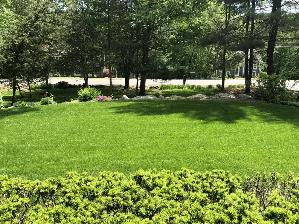 Trusted yard maintenance in Norton, MA by Wicked Green Lawn Care