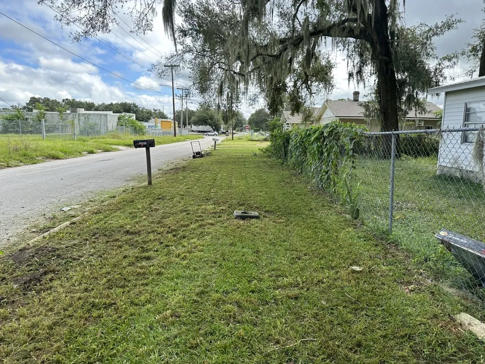 Affordable landscaping services experts serving Lakeland, FL - Wicked