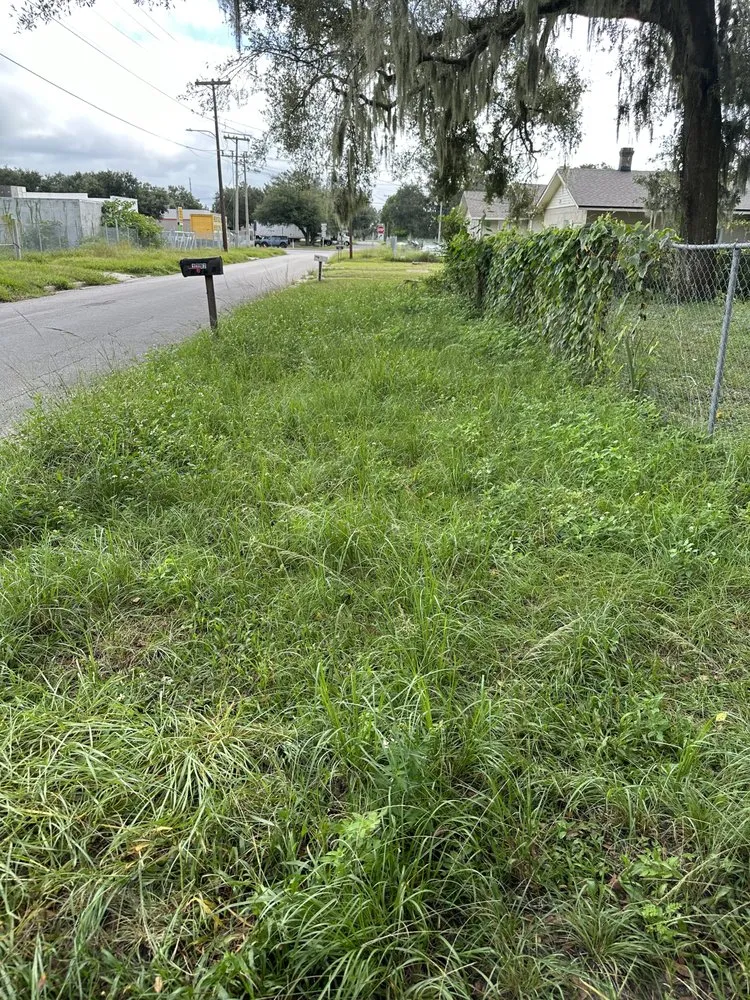 Custom outdoor landscaping for residential properties across Lakeland, FL - Wicked