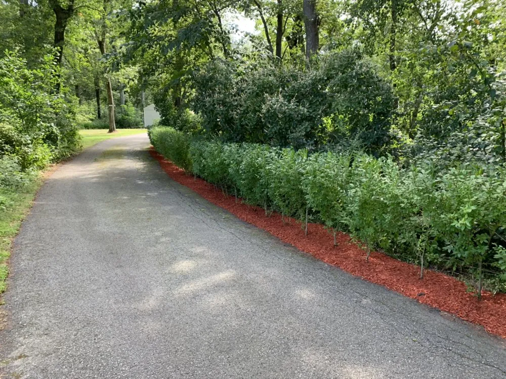 Trusted landscaping services for year-round maintenance in Attleboro, MA by Wicked Nice Lawn