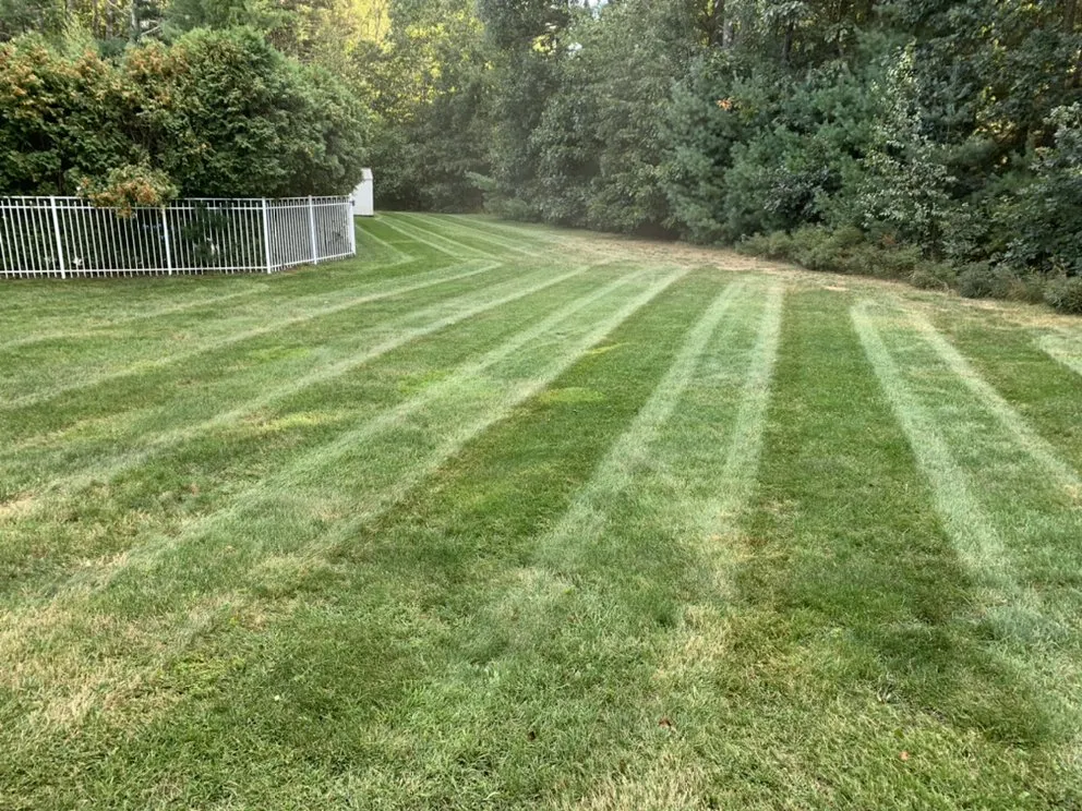 Top-rated landscape installation in Attleboro, MA by Wicked Nice Lawn