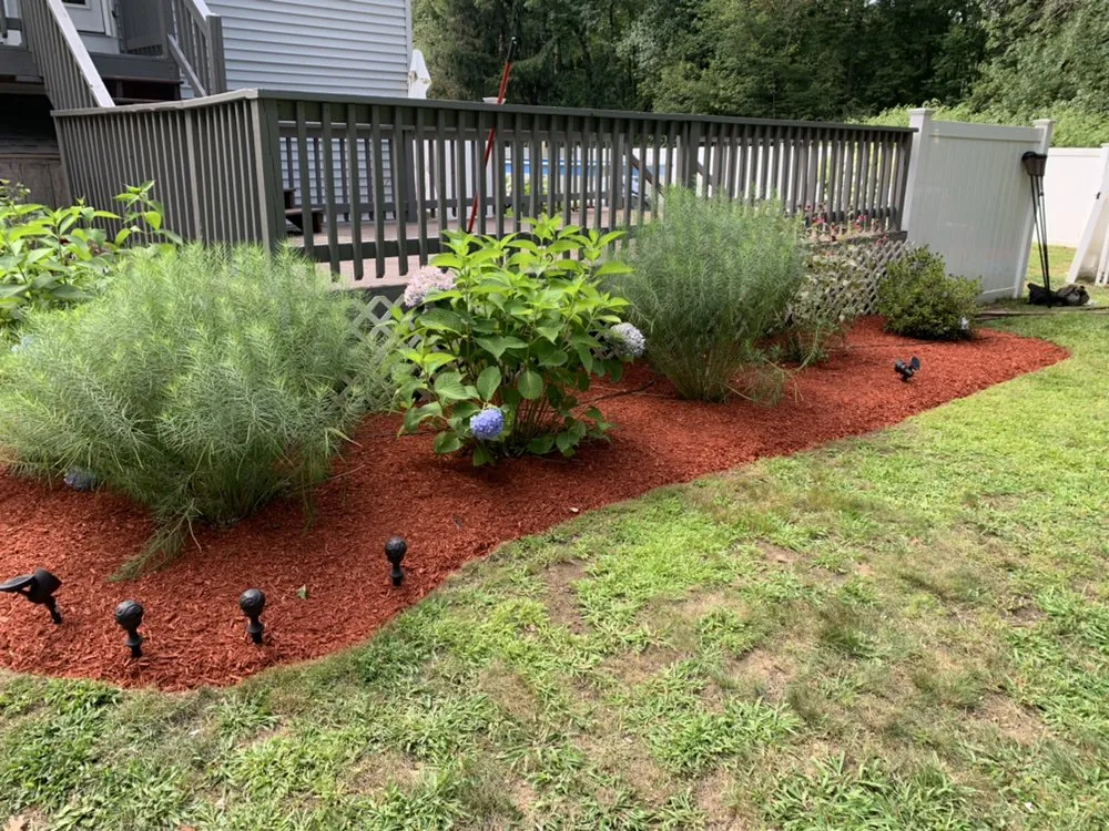 Local lawn care service in Attleboro, MA - Wicked Nice Lawn