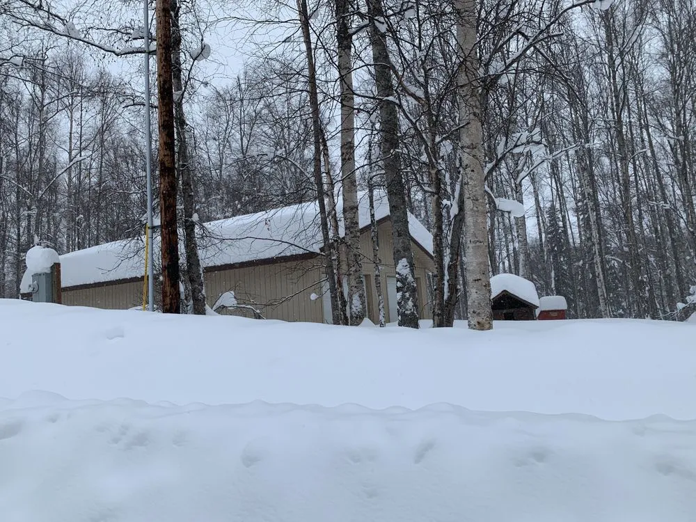 Trusted yard cleanup service for residential properties in Wasilla, AK by Wicked Outdoor Services and Maintenance