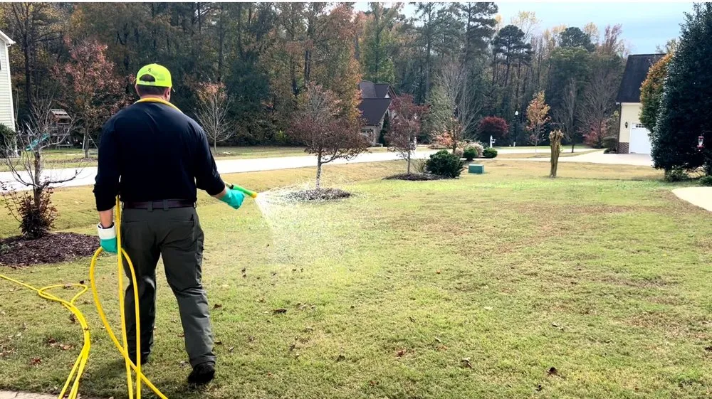 Professional yard cleanup service experts serving Willow Spring, NC - Wicked Weed Control