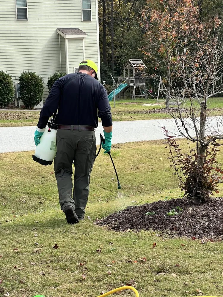 Custom landscape design for outdoor upgrades across Willow Spring, NC - Wicked Weed Control