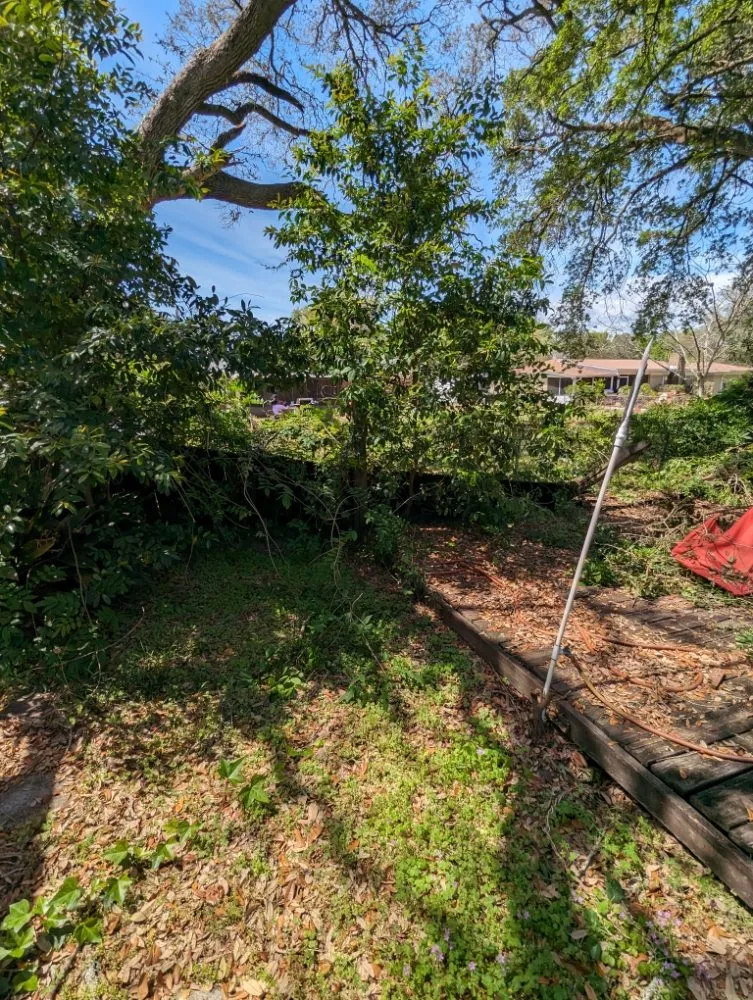 Trusted lawn care service in Pace, FL - Wicker Bills