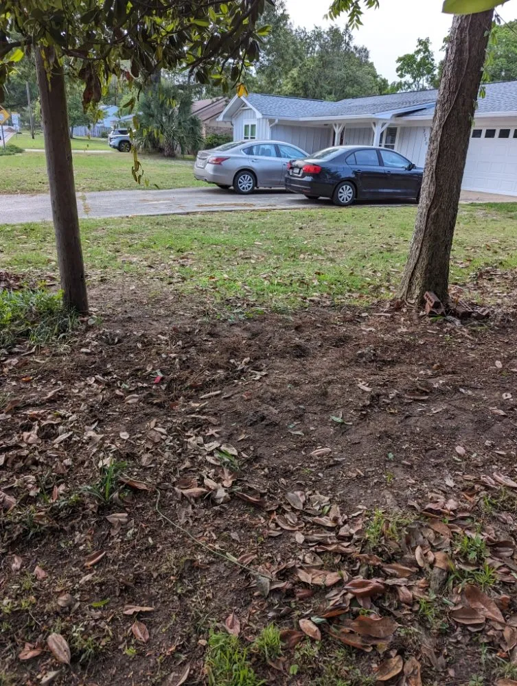 Affordable outdoor landscaping experts serving Pace, FL - Wicker Bills