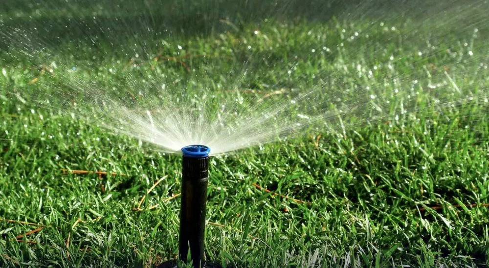 Local residential landscaping in Pace, FL - Wicker Bills