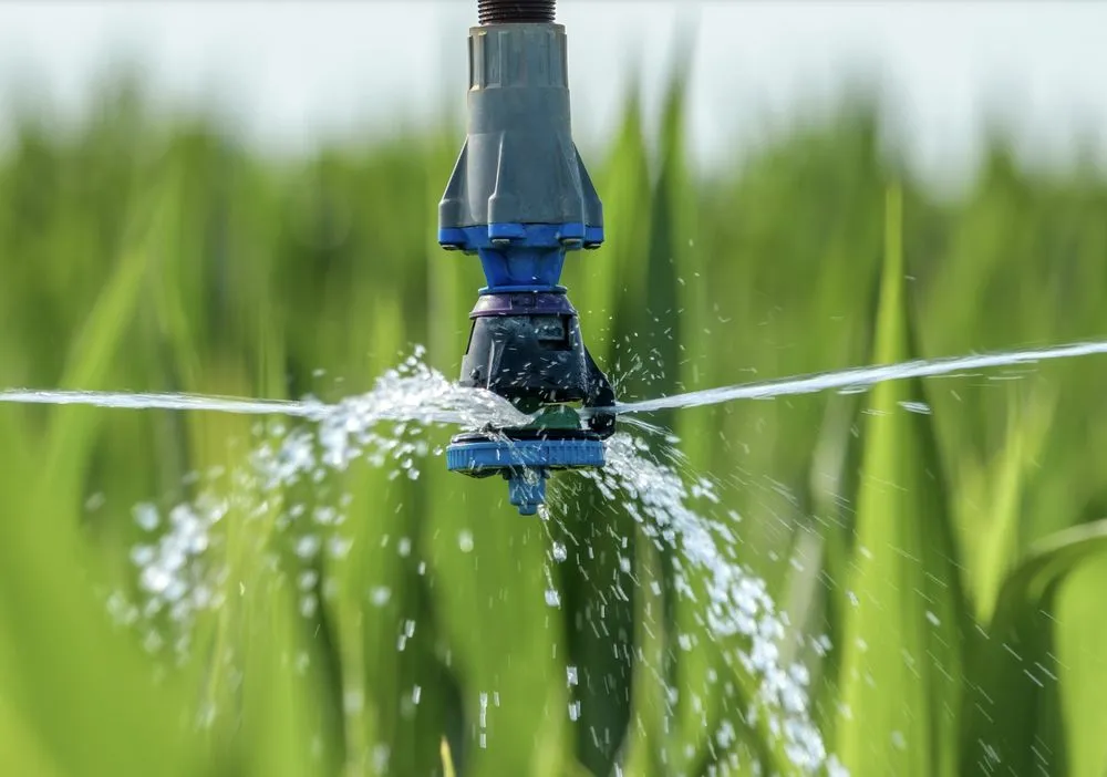 Affordable landscape installation experts serving Pace, FL - Wicker Bills