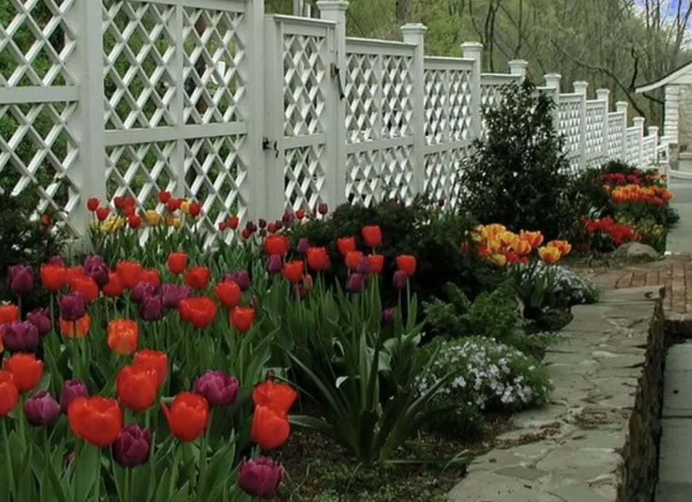 Reliable outdoor landscaping in Pace, FL by Wicker Bills