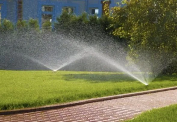 Local yard cleanup service for outdoor upgrades across Pace, FL - Wicker Bills