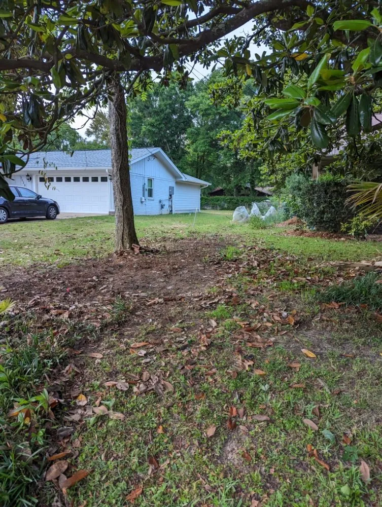 Top-rated lawn mowing service in Pace, FL - Wicker Bills