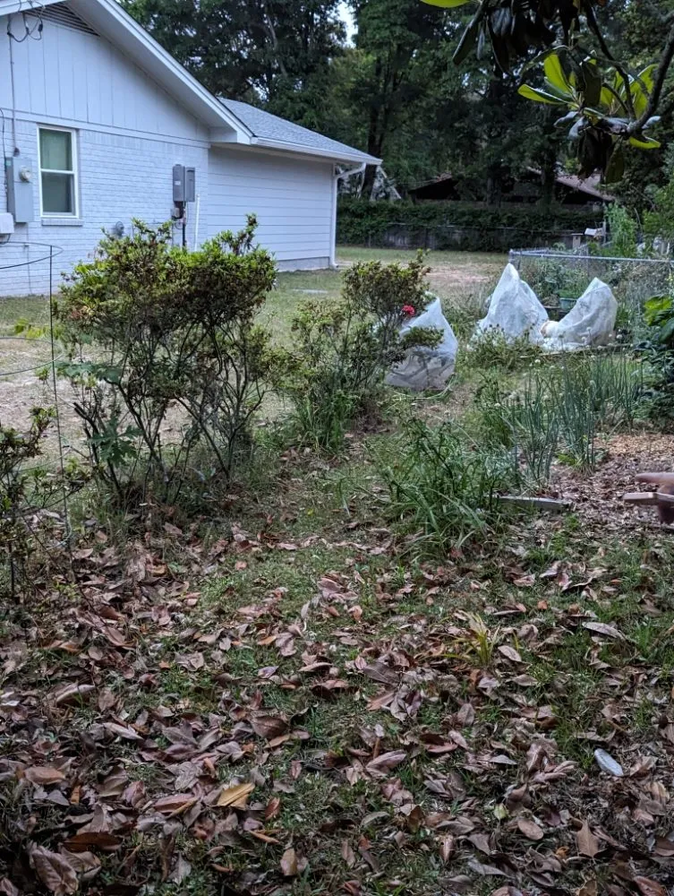 Top-rated garden landscaping for beautiful yards across Pace, FL - Wicker Bills