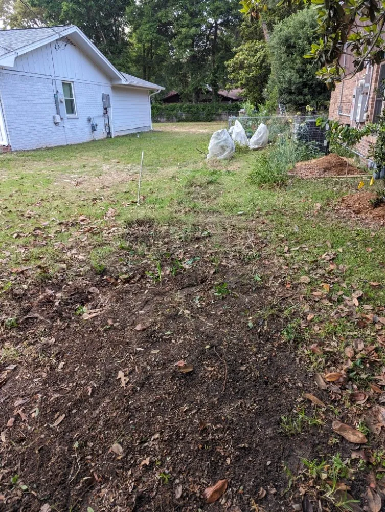 Expert yard cleanup service for outdoor upgrades across Pace, FL - Wicker Bills