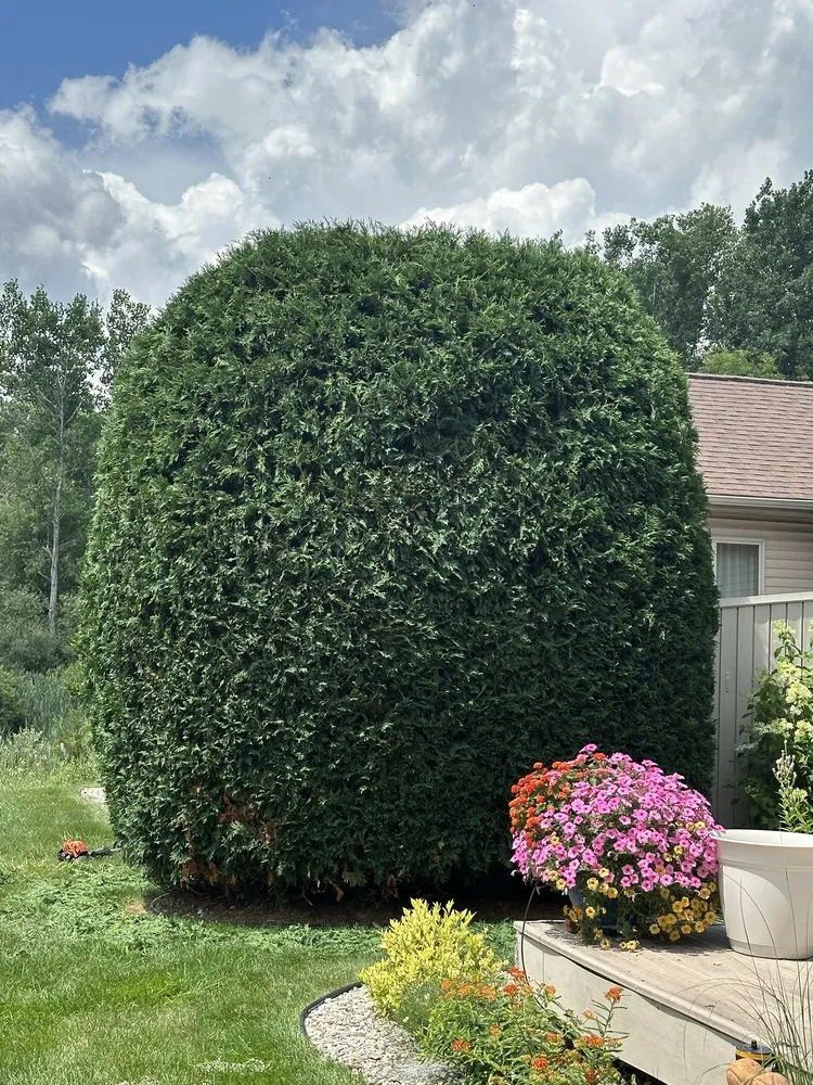 Reliable yard maintenance for year-round maintenance in Saginaw, MI by Wickham Landscaping