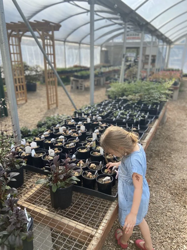 Custom lawn mowing service in Springfield, MO by Wickmans Garden Village