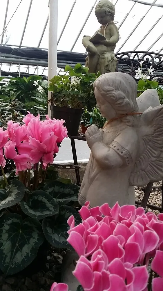 Trusted yard maintenance for homes in Springfield, MO by Wickmans Garden Village