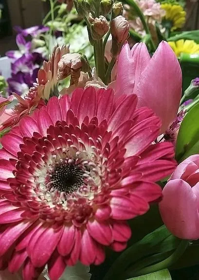 Top-rated lawn care service experts serving Springfield, MO - Wickmans Garden Village