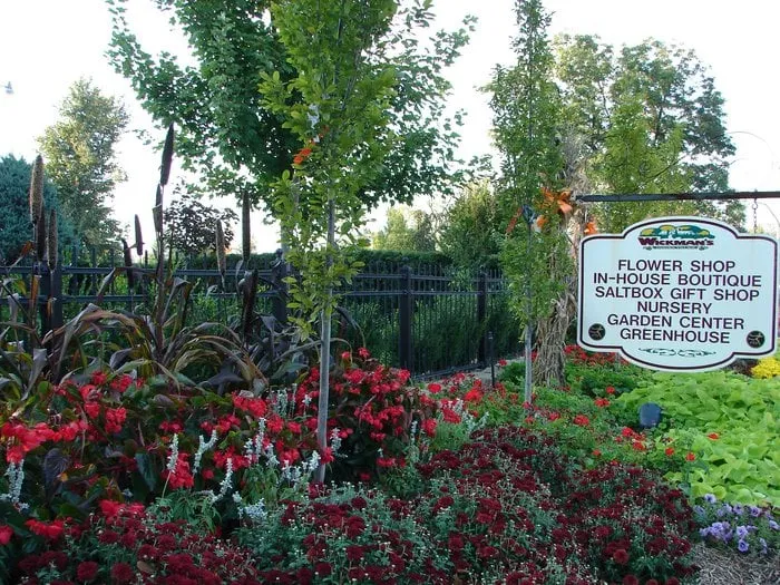 Trusted yard maintenance in Springfield, MO - Wickmans Garden Village