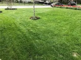 Top-rated garden landscaping in Minneapolis, MN by Wick's Lawn Care