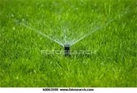 Expert garden landscaping in Conifer, CO by Wicks Maintenance Solutions