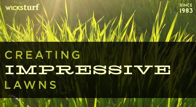 Trusted yard cleanup service in Urbandale, IA - Wicks Turf