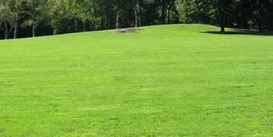 Top-rated landscaping services in Urbandale, IA by Wicks Turf