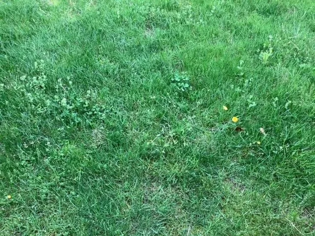 Expert landscape design near you in Mogadore, OH by Wide Open Property Maintenance