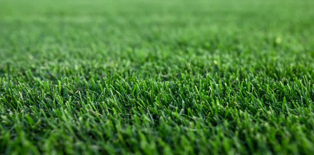 Trusted landscaping services in Troy, SC - Widemans AZ Services