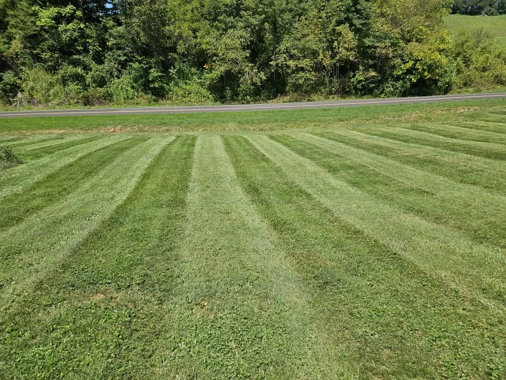 Reliable yard cleanup service for year-round maintenance across Kingsport, TN - Widener Lawn Care
