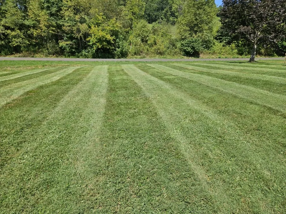Top-rated lawn mowing service experts serving Kingsport, TN - Widener Lawn Care